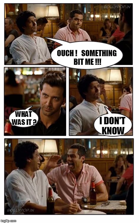 You wouldn't know a good meme if it bit you on the a$$ | OUCH !   SOMETHING BIT ME !!! WHAT WAS IT ? I DON'T KNOW | image tagged in memes,znmd | made w/ Imgflip meme maker