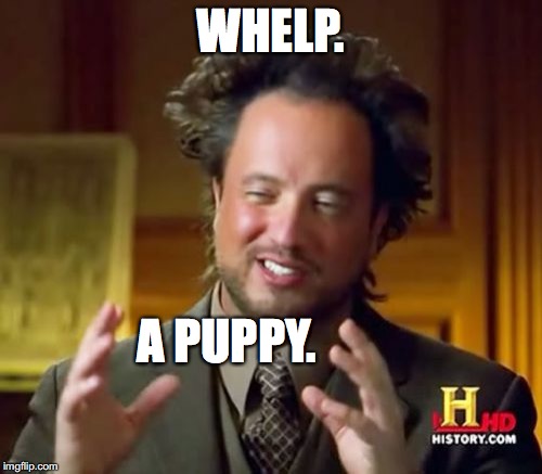 Ancient Aliens Meme | WHELP. A PUPPY. | image tagged in memes,ancient aliens | made w/ Imgflip meme maker