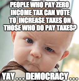 Skeptical Baby Meme | PEOPLE WHO PAY ZERO INCOME TAX CAN VOTE TO  INCREASE TAXES ON THOSE WHO DO PAY TAXES? YAY . . . DEMOCRACY . . . | image tagged in memes,skeptical baby | made w/ Imgflip meme maker