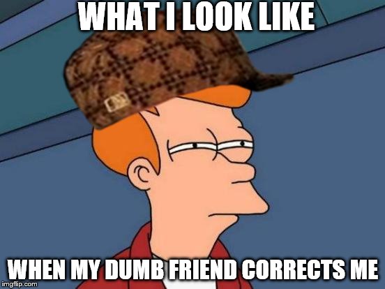 Futurama Fry Meme | WHAT I LOOK LIKE; WHEN MY DUMB FRIEND CORRECTS ME | image tagged in memes,futurama fry,scumbag | made w/ Imgflip meme maker