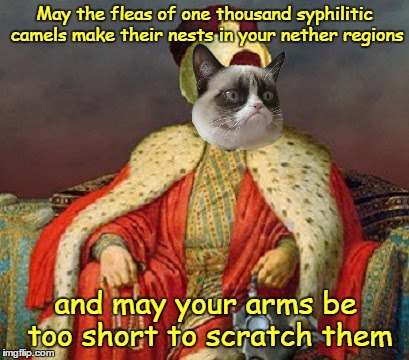 Grumpy Cat's "In-Sultan You" Arabic Style | May the fleas of one thousand syphilitic camels make their nests in your nether regions; and may your arms be too short to scratch them | image tagged in memes,grumpy cat,ancient,arabic,insults,sultan | made w/ Imgflip meme maker