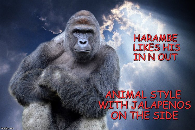 harambe | HARAMBE LIKES HIS IN N OUT; ANIMAL STYLE WITH JALAPENOS ON THE SIDE | image tagged in harambe | made w/ Imgflip meme maker