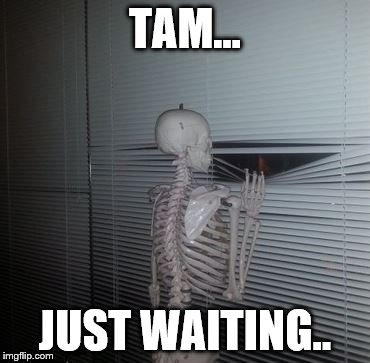 Skeleton Waiting | TAM... JUST WAITING.. | image tagged in skeleton waiting | made w/ Imgflip meme maker