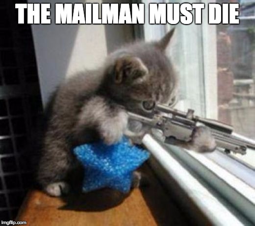 Cats with Guns | THE MAILMAN MUST DIE | image tagged in cats with guns | made w/ Imgflip meme maker