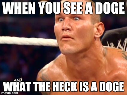 Randy Orton | WHEN YOU SEE A DOGE; WHAT THE HECK IS A DOGE | image tagged in randy orton | made w/ Imgflip meme maker