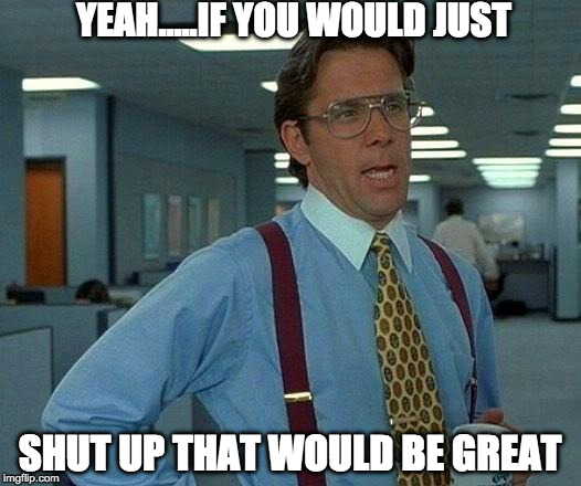 That Would Be Great | YEAH.....IF YOU WOULD JUST; SHUT UP THAT WOULD BE GREAT | image tagged in memes,that would be great | made w/ Imgflip meme maker