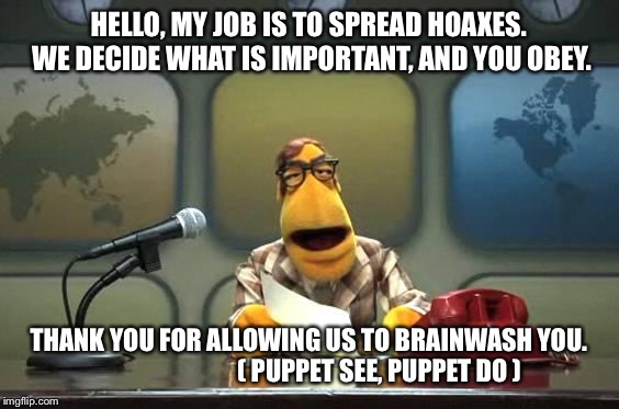 Muppet Reporter | HELLO, MY JOB IS TO SPREAD HOAXES. WE DECIDE WHAT IS IMPORTANT, AND YOU OBEY. THANK YOU FOR ALLOWING US TO BRAINWASH YOU.                            ( PUPPET SEE, PUPPET DO ) | image tagged in muppet reporter | made w/ Imgflip meme maker