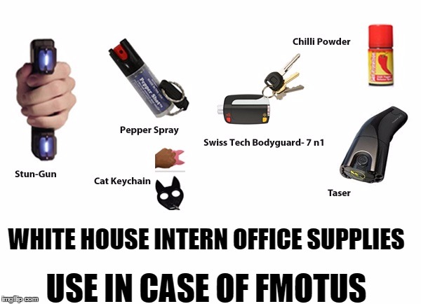 USE IN CASE OF FMOTUS; WHITE HOUSE INTERN OFFICE SUPPLIES | image tagged in willy billy,rape whistle | made w/ Imgflip meme maker
