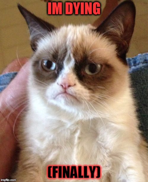 Grumpy Cat Meme | IM DYING; (FINALLY) | image tagged in memes,grumpy cat | made w/ Imgflip meme maker