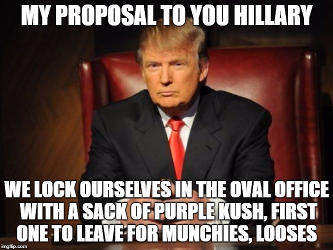 donald trump | MY PROPOSAL TO YOU HILLARY; WE LOCK OURSELVES IN THE OVAL OFFICE WITH A SACK OF PURPLE KUSH, FIRST ONE TO LEAVE FOR MUNCHIES, LOOSES | image tagged in donald trump | made w/ Imgflip meme maker