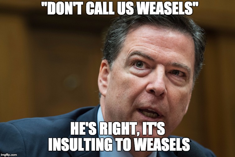 "DON'T CALL US WEASELS"; HE'S RIGHT, IT'S INSULTING TO WEASELS | image tagged in fbi director james comey | made w/ Imgflip meme maker