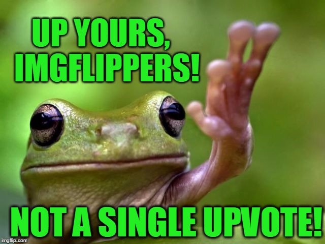 NOT A SINGLE UPVOTE! UP YOURS,  IMGFLIPPERS! | image tagged in frog | made w/ Imgflip meme maker