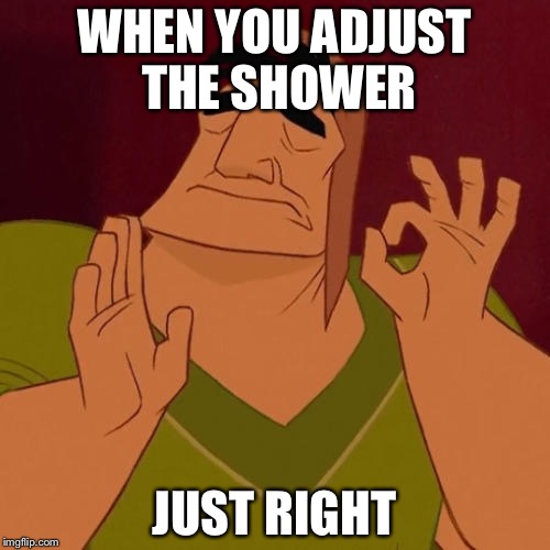 Groovy  | WHEN YOU ADJUST THE SHOWER; JUST RIGHT | image tagged in when x just right,shower | made w/ Imgflip meme maker