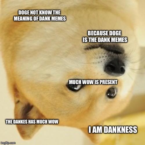 Doge | DOGE NOT KNOW THE MEANING OF DANK MEMES; BECAUSE DOGE IS THE DANK MEMES; MUCH WOW IS PRESENT; THE DANKES HAS MUCH WOW; I AM DANKNESS | image tagged in memes,doge | made w/ Imgflip meme maker
