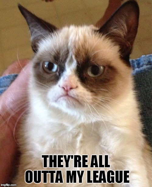 Grumpy Cat Meme | THEY'RE ALL OUTTA MY LEAGUE | image tagged in memes,grumpy cat | made w/ Imgflip meme maker