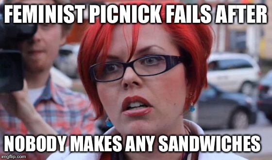 Big Red Feminist | FEMINIST PICNICK FAILS AFTER; NOBODY MAKES ANY SANDWICHES | image tagged in big red feminist | made w/ Imgflip meme maker