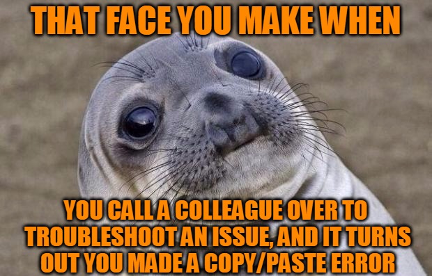 An extra "</soapenv:Header>" makes all the difference... | THAT FACE YOU MAKE WHEN; YOU CALL A COLLEAGUE OVER TO TROUBLESHOOT AN ISSUE, AND IT TURNS OUT YOU MADE A COPY/PASTE ERROR | image tagged in memes,awkward moment sealion,programming,problem between keyboard and chair,copy/paste error,headfoot | made w/ Imgflip meme maker