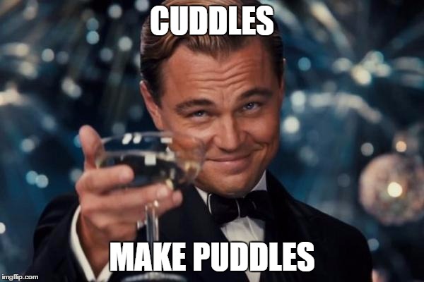 Leonardo Dicaprio Cheers | CUDDLES; MAKE PUDDLES | image tagged in memes,leonardo dicaprio cheers | made w/ Imgflip meme maker
