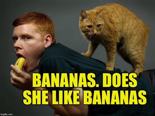 BANANAS. DOES SHE LIKE BANANAS | made w/ Imgflip meme maker