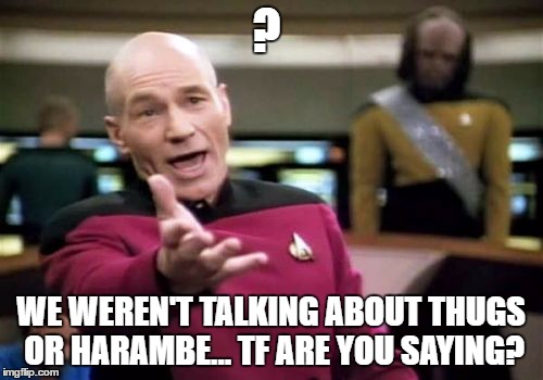 Picard Wtf Meme | ? WE WEREN'T TALKING ABOUT THUGS OR HARAMBE... TF ARE YOU SAYING? | image tagged in memes,picard wtf | made w/ Imgflip meme maker
