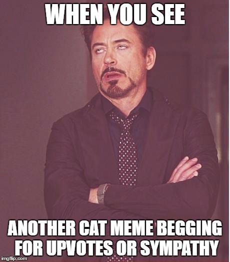 Face You Make Robert Downey Jr Meme | WHEN YOU SEE; ANOTHER CAT MEME BEGGING FOR UPVOTES OR SYMPATHY | image tagged in memes,face you make robert downey jr | made w/ Imgflip meme maker