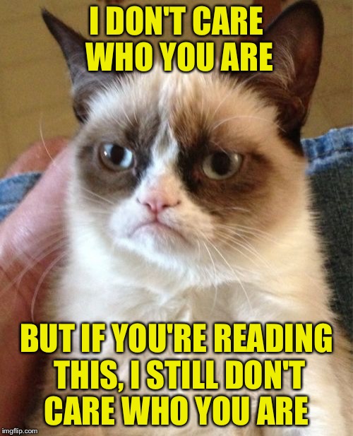 Grumpy Cat | I DON'T CARE WHO YOU ARE; BUT IF YOU'RE READING THIS, I STILL DON'T CARE WHO YOU ARE | image tagged in memes,grumpy cat | made w/ Imgflip meme maker