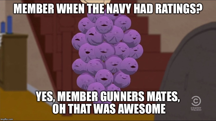 Member Berries Meme | MEMBER WHEN THE NAVY HAD RATINGS? YES, MEMBER GUNNERS MATES, OH THAT WAS AWESOME | image tagged in member berries | made w/ Imgflip meme maker