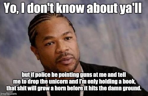 Serious Xzibit |  Yo, I don't know about ya'll; but if police be pointing guns at me and tell me to drop the unicorn and I'm only holding a book, that shit will grow a horn before it hits the damn ground. | image tagged in memes,serious xzibit | made w/ Imgflip meme maker