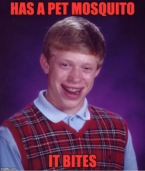 Bad Luck Brian Meme | HAS A PET MOSQUITO IT BITES | image tagged in memes,bad luck brian | made w/ Imgflip meme maker