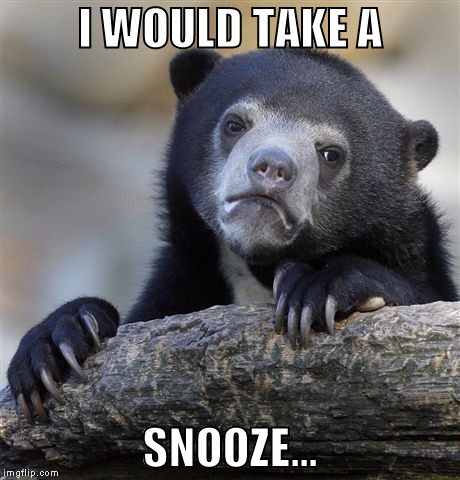 Confession Bear Meme | I WOULD TAKE A SNOOZE... | image tagged in memes,confession bear | made w/ Imgflip meme maker