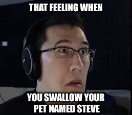 Had to do it. My pet named Steve is now officially a meme. | THAT FEELING WHEN; YOU SWALLOW YOUR PET NAMED STEVE | image tagged in memes,markiplier,my pet named steve,foxcheetahsp | made w/ Imgflip meme maker