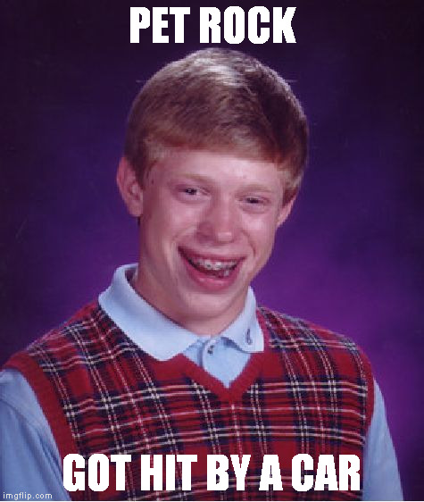 Bad Luck Brian Meme | PET ROCK GOT HIT BY A CAR | image tagged in memes,bad luck brian | made w/ Imgflip meme maker