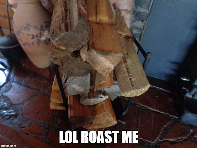 He asked for it |  LOL ROAST ME | image tagged in badtaste,roast | made w/ Imgflip meme maker