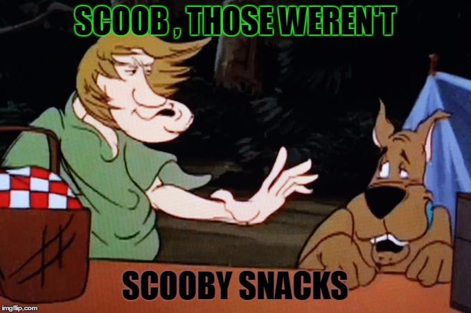 SCOOB , THOSE WEREN'T; SCOOBY SNACKS | image tagged in shaggy,meme,scooby doo,funny | made w/ Imgflip meme maker