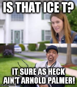 Too soon? |  IS THAT ICE T? IT SURE AS HECK AIN'T ARNOLD PALMER! | image tagged in ice t | made w/ Imgflip meme maker