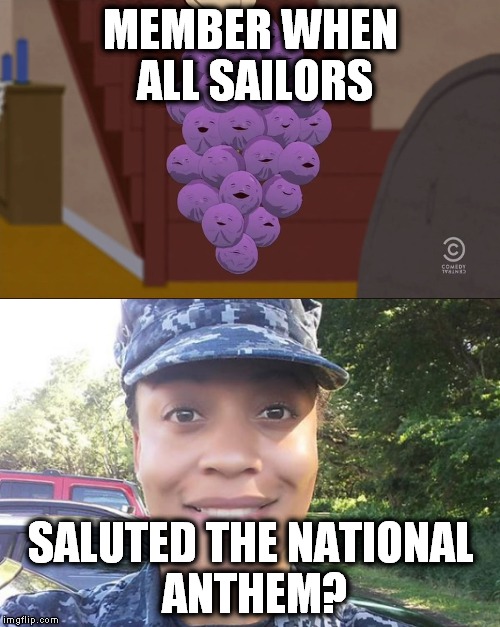 Member berries | MEMBER WHEN ALL SAILORS; SALUTED THE NATIONAL ANTHEM? | image tagged in member berries,salute,national anthem,navy | made w/ Imgflip meme maker