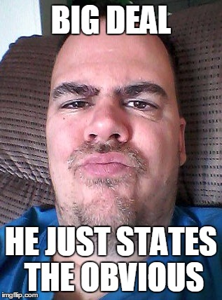 Scowl | BIG DEAL HE JUST STATES THE OBVIOUS | image tagged in scowl | made w/ Imgflip meme maker