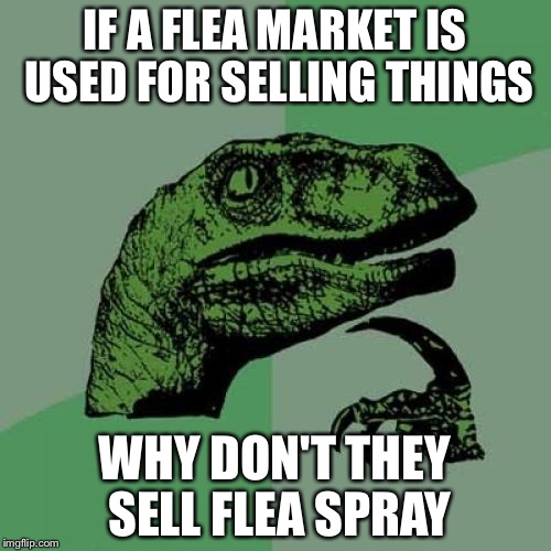 Philosoraptor | IF A FLEA MARKET IS USED FOR SELLING THINGS; WHY DON'T THEY SELL FLEA SPRAY | image tagged in memes,philosoraptor | made w/ Imgflip meme maker