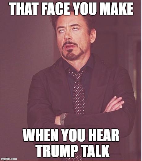 Face You Make Robert Downey Jr | THAT FACE YOU MAKE; WHEN YOU HEAR TRUMP TALK | image tagged in memes,face you make robert downey jr | made w/ Imgflip meme maker