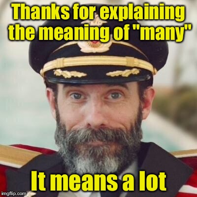 Thanks captain obvious. | Thanks for explaining the meaning of "many"; It means a lot | image tagged in thanks captain obvious | made w/ Imgflip meme maker