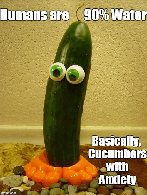 When You Get Down To It... | Humans are      90% Water; Basically, Cucumbers with Anxiety | image tagged in vince vance,cucumber with eyes,humans are 90 water | made w/ Imgflip meme maker