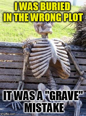 Waiting Skeleton Meme | I WAS BURIED IN THE WRONG PLOT; IT WAS A ''GRAVE'' MISTAKE | image tagged in memes,waiting skeleton | made w/ Imgflip meme maker