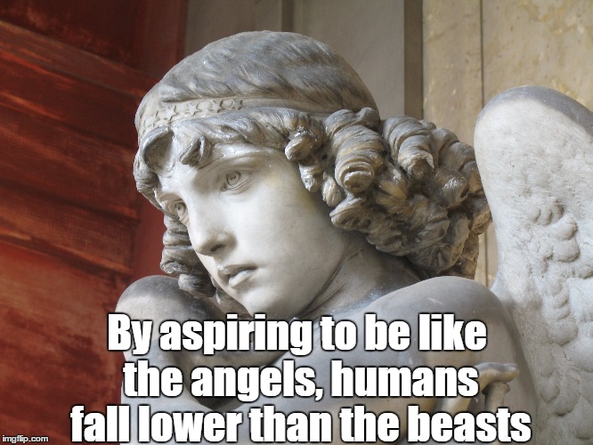 By aspiring to be like the angels,
humans fall lower than the beasts | made w/ Imgflip meme maker
