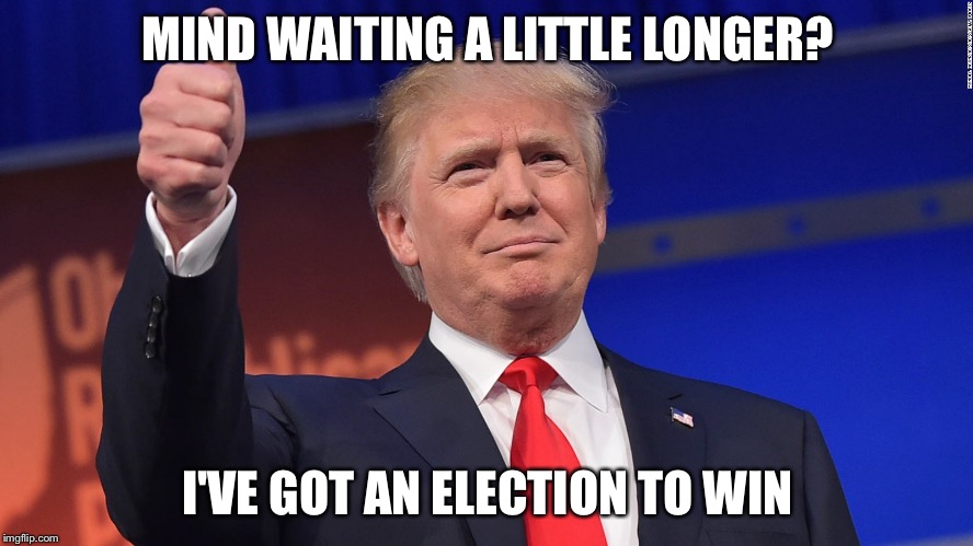 Trump Thumbs Up | MIND WAITING A LITTLE LONGER? I'VE GOT AN ELECTION TO WIN | image tagged in trump thumbs up | made w/ Imgflip meme maker