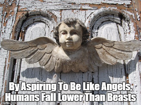 By Aspiring To Be Like Angels, Humans Fall Lower Than Beasts | made w/ Imgflip meme maker