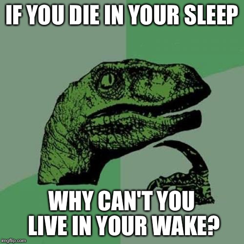 Philosoraptor Meme | IF YOU DIE IN YOUR SLEEP; WHY CAN'T YOU LIVE IN YOUR WAKE? | image tagged in memes,philosoraptor | made w/ Imgflip meme maker