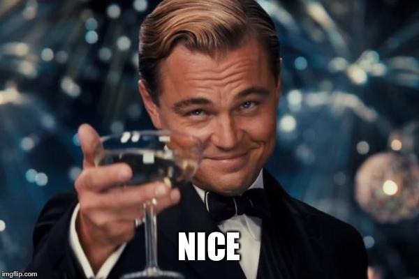Leonardo Dicaprio Cheers Meme | NICE | image tagged in memes,leonardo dicaprio cheers | made w/ Imgflip meme maker