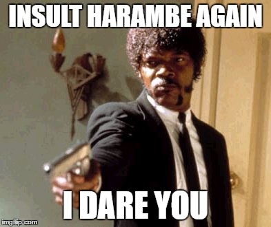 No one insults Harambe | INSULT HARAMBE AGAIN; I DARE YOU | image tagged in memes,say that again i dare you | made w/ Imgflip meme maker