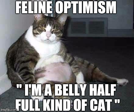 Today is going to be great | FELINE OPTIMISM; " I'M A BELLY HALF FULL KIND OF CAT " | image tagged in fat cat | made w/ Imgflip meme maker