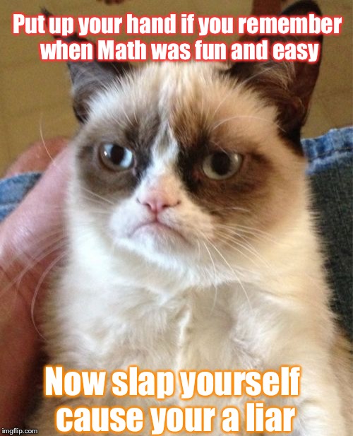It Was Always Like That... | Put up your hand if you remember when Math was fun and easy; Now slap yourself cause your a liar | image tagged in memes,grumpy cat,math,funny,fun,easy | made w/ Imgflip meme maker